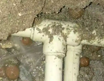 港北测漏水多少钱