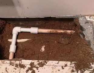 港北测漏水哪家好