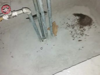 港北卫生间测漏水价格明细