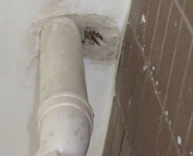 港北漏水检测哪家好